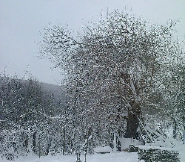 Днес облачно и с валежи от сняг. Температурите ще са между - 4° и 1°