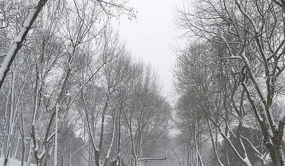 Днес облачно с максимални температури между - 4° и 1°