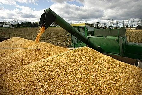 България е изнесла над 1 милион тона зърно за Испания