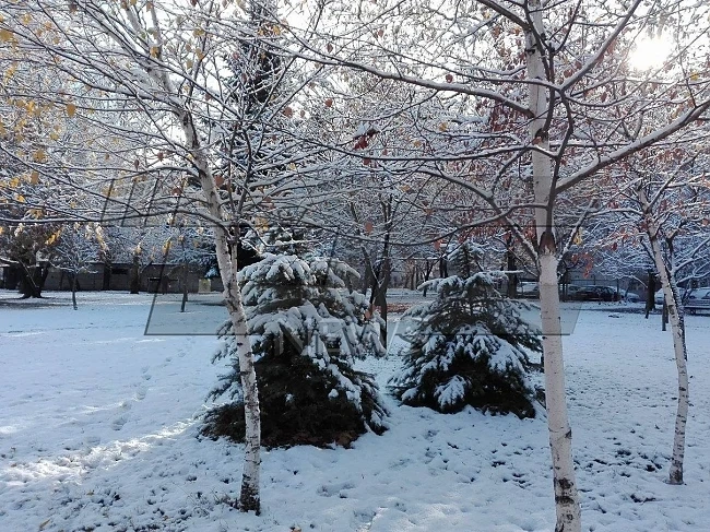 Днес облачно с максимални температури между -6° и - 1°