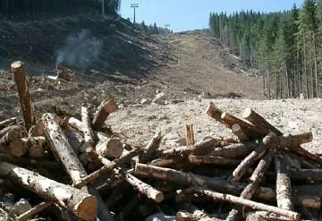 WWF се провалиха в кампанията против плана за Пирин
