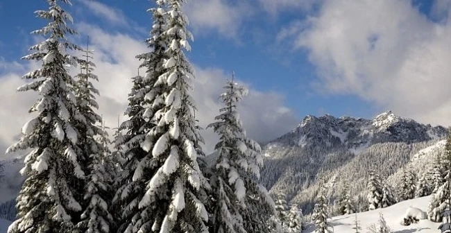 Днес слънчево с максимални температури между -2° и 3°
