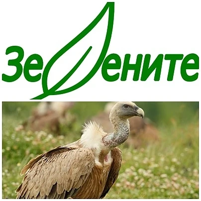 Тъпи зеленикави шегички 