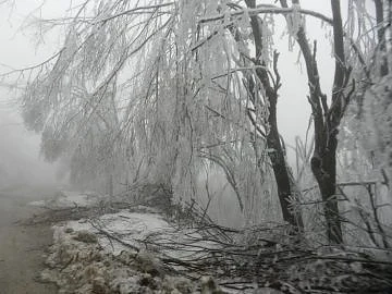 Днес времето остава студено 
