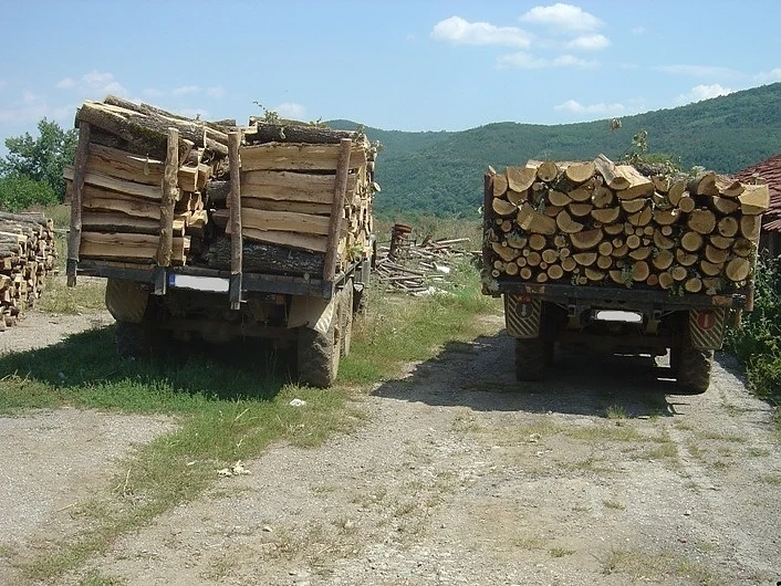 Кметове настояват държавата да ограничи камионите на дървосекачите