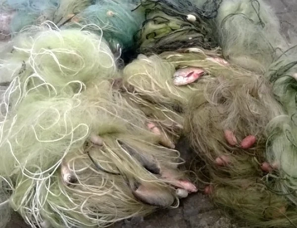 Спипаха прокурор с нелегален улов на риба 