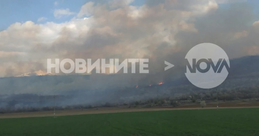 Масиви с лозя горят край главния път София-Благоевград 