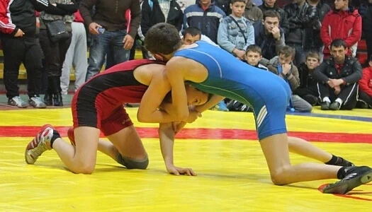 160 са кандидатите за турнира по борба \