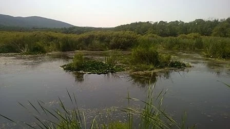 В защитените територии край Приморско не се допуска ново устройване с цел застрояване 