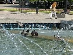 Температурен рекорд в Русе!
