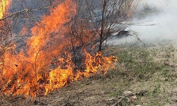 Дванадесет области в страната са застрашени от пожари