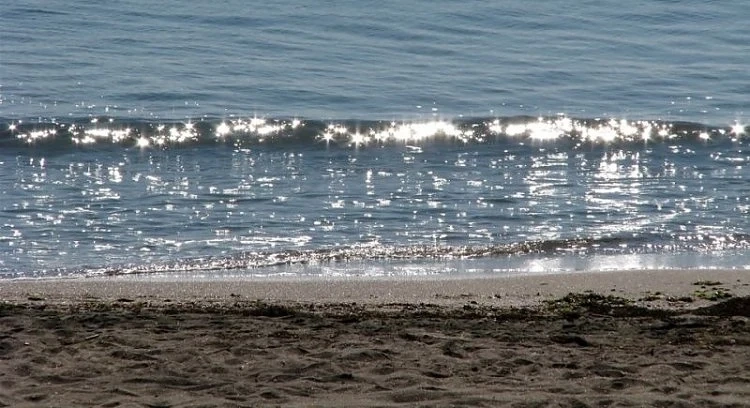 Слънчево и топло време днес 
