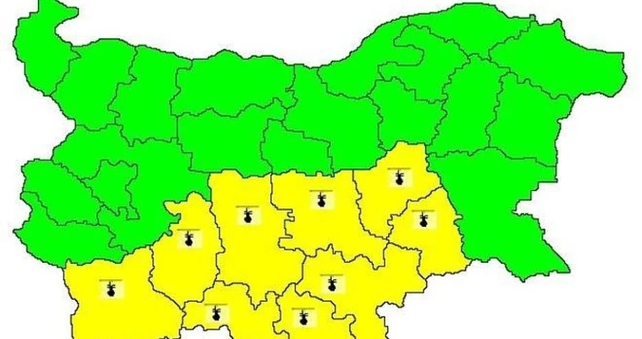  Жълт код за високи температури