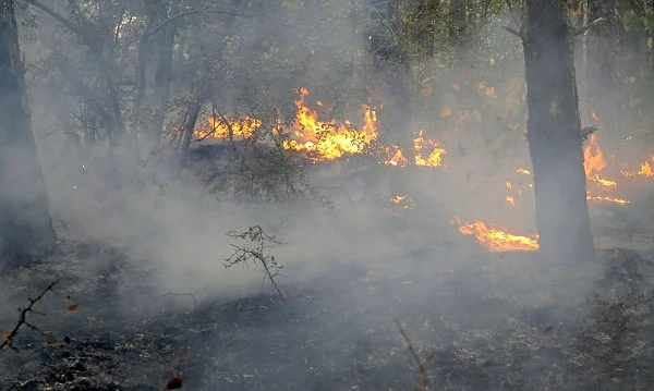 Голям горски пожар е избухнал край село Стара Кресна