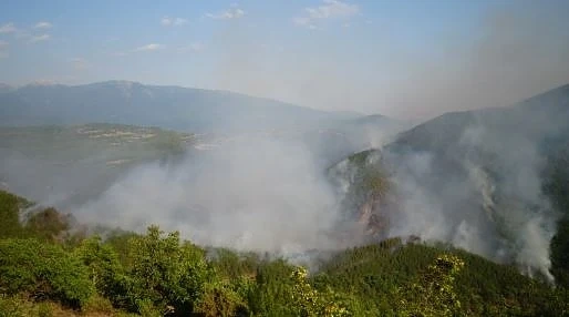 Овладяха пожара край Стара Кресна
