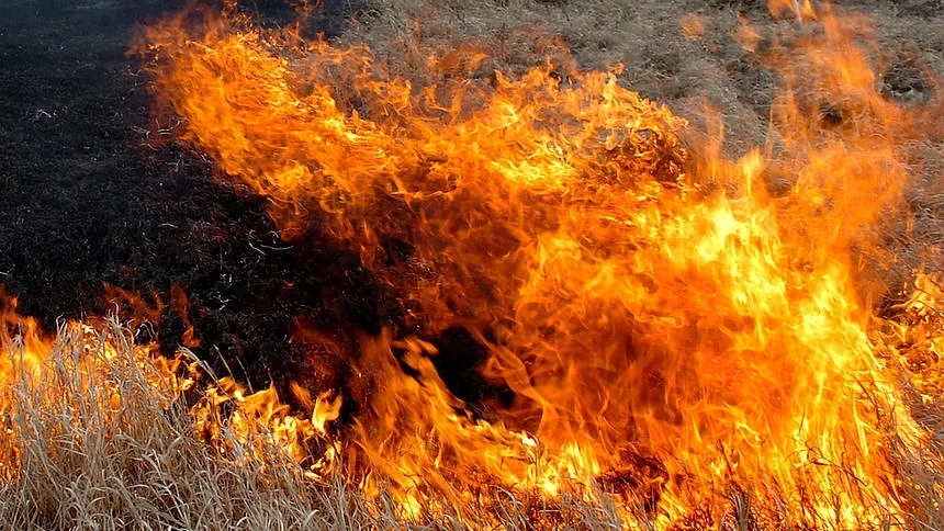 Частично бедствено положение в Бургаско заради пожарите