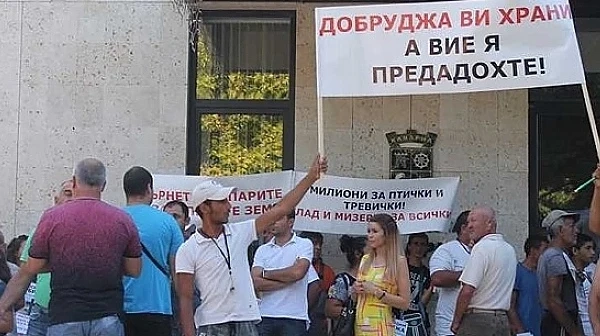 Евдокия Манева за „Калиакра“: Министър Димов поема удара за сериозни грешки, направени в миналото