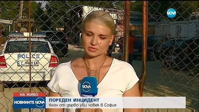 Паднал клон уби мъж в София