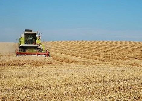 ДФЗ отпуска 5 млн. лв. за нисколихвени кредити на зърнопроизводителите
