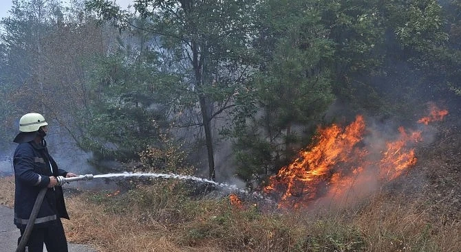 Пожарът в Тополовградско може да се разпространи 