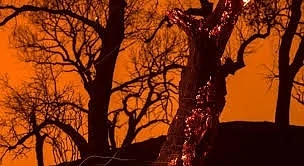 Екстремален индекс за пожароопасност в 9 области за днес
