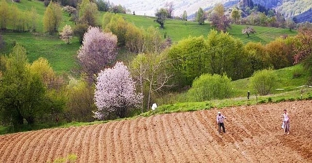 Все повече хора се връщат в българските села