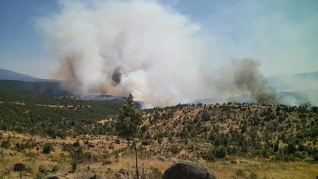 Обвиниха пастир за пожара над Кресна 