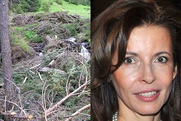 Цветелина започва масова сеч в Родопите