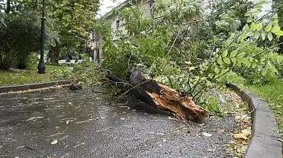 Бурята във Врачанско нанесе сериозни щети 