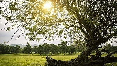 Днес ще е слънчево с максимални температури между 24°-32°. След обяд на места ще превали