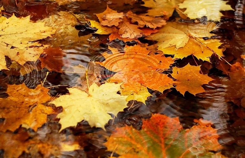 Лятото си отива и започва есента, чака ни застудяване и валежи