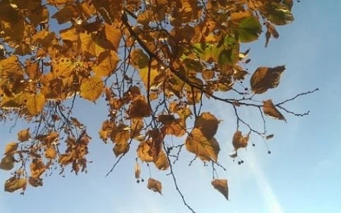 Днес облачно и хладно. Максималните температури ще са между 18°и 23°