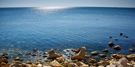 Черно море спасява Земята от въглерод