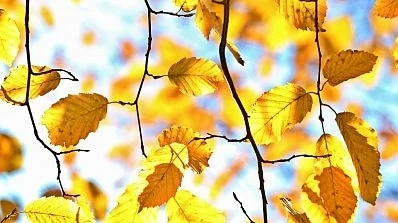 Ето какво ще е времето през октомври    