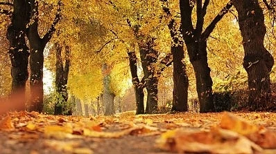 Днес слънчево с максимални температури между 16° и 21°. На места ще превали слаб дъжд
