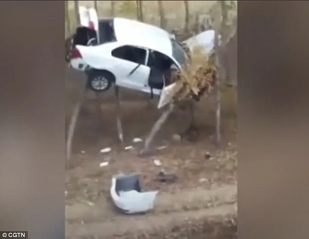 Автомобил се заклещи между две дървета (видео)