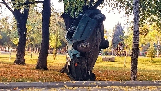 Кола „кацна” до дърво в парк в Стара Загора (СНИМКИ)