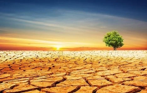2017 година е втората най-топла, откакто се води статистика