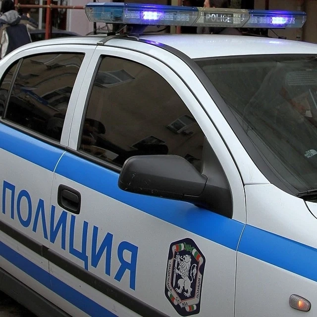 Шофьор се вряза в мантинела 