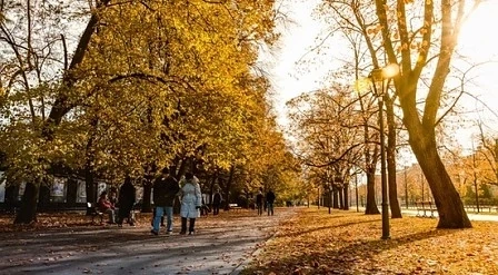 Разхождайте се, за да сте във форма