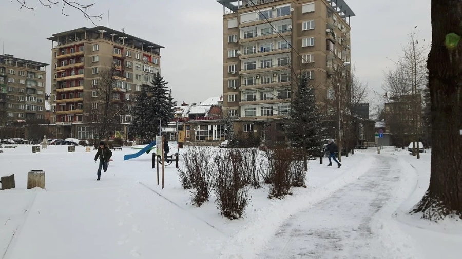 До 20 см сняг се очаква днес в столицата 