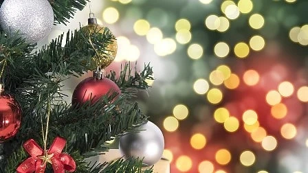 Коледната елха в София грейва утре