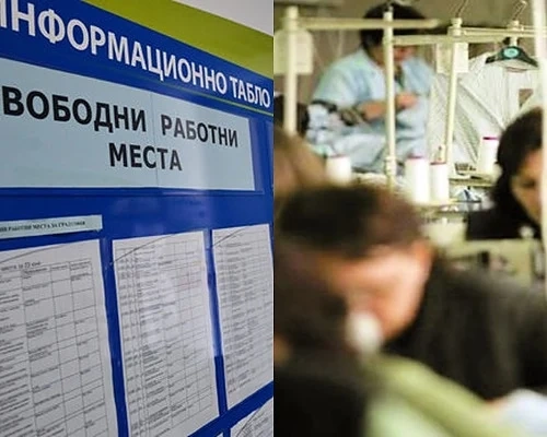 Най-силна е била заетостта през третото тримесечие на годината 