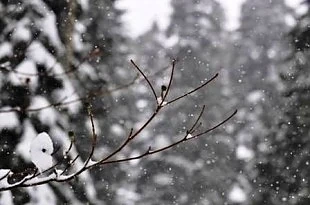 Днес облачно с максимални температури между 1°и 6°
