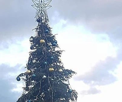 Вижте елхата в София, после тези в Лондон, Париж, Вилнюс (СНИМКИ)