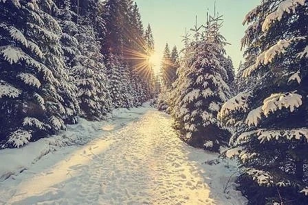 Днес предимно слънчево с максимални температури между 0° и 5°