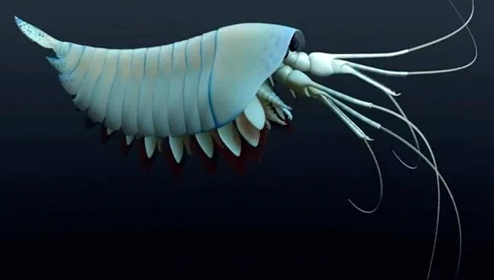 Откриха морски хищник на 508 милиона години