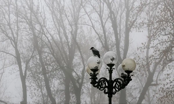 Облачно и мъгливо ще е времето утре
