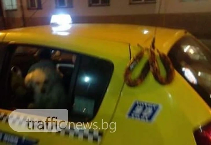 Вижте как се суши луканка в Пловдив  