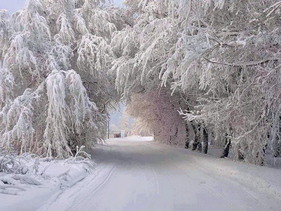  Ще има ли сняг през февруари? 